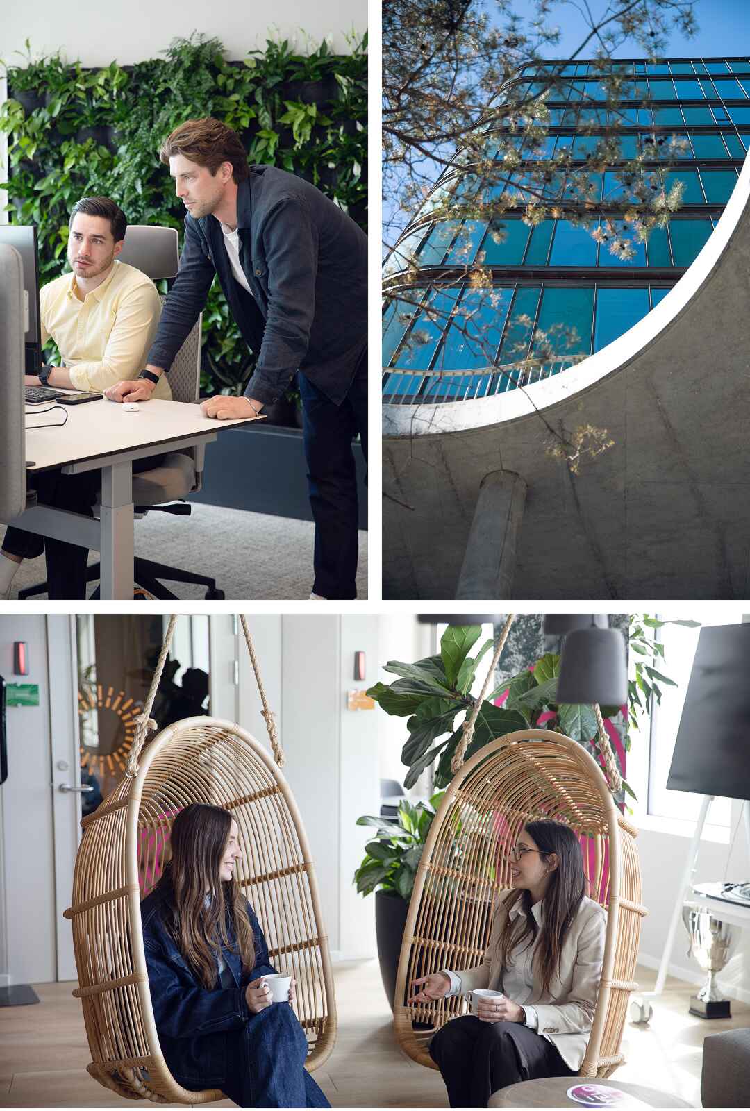 Collage of office work, building, lounge chats