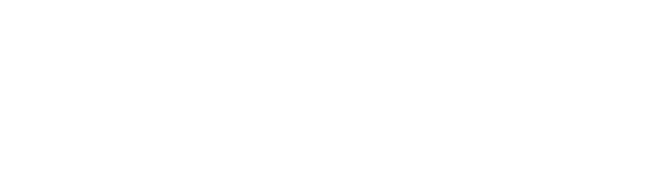 expert