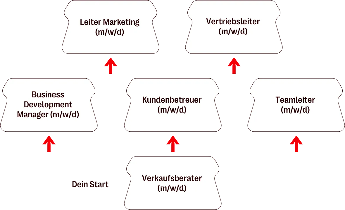 Field Sales Representative at the beginning then either Accounts Manager or Team Leader, then Sales Manager