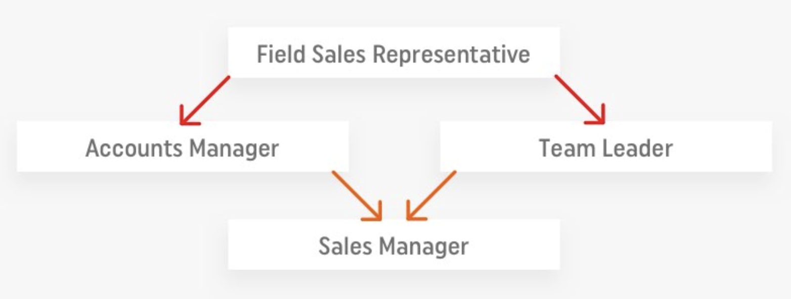 Field Sales Representative at the beginning then either Accounts Manager or Team Leader, then Sales Manager