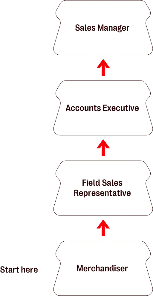 Field Sales Representative at the beginning then either Accounts Manager or Team Leader, then Sales Manager