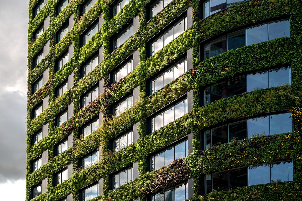 Sustainability at BDO: Empowering Change Together