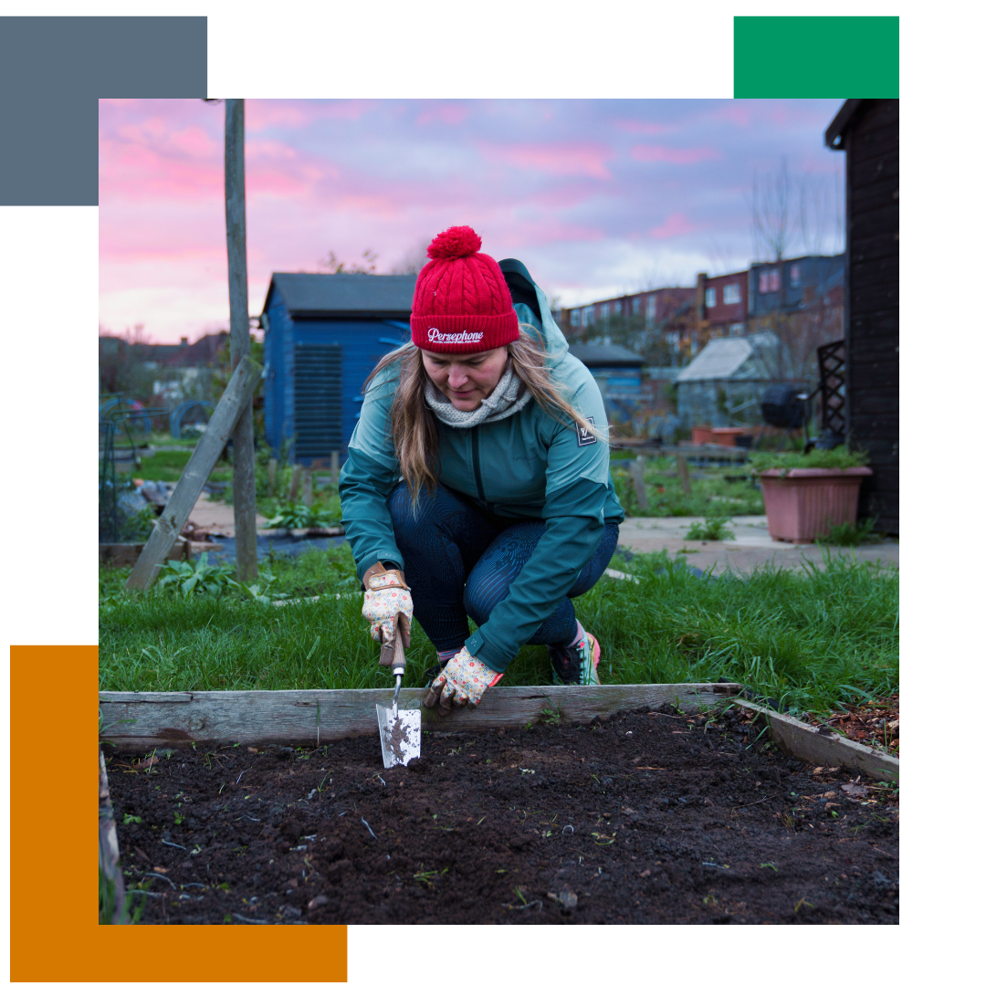 Woman gardening and digging soil, in winter clothing in an allotment