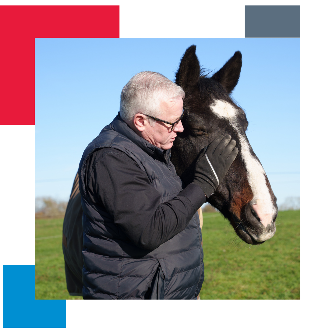 Coloured squares in the background with the main picture being a man in a black gilet, stroking a horses head