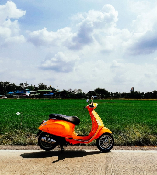Orange Culture