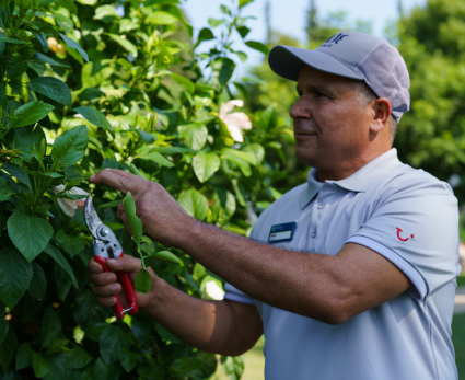 A male TUI BLUE colleague tends to plants in the hotel garden.