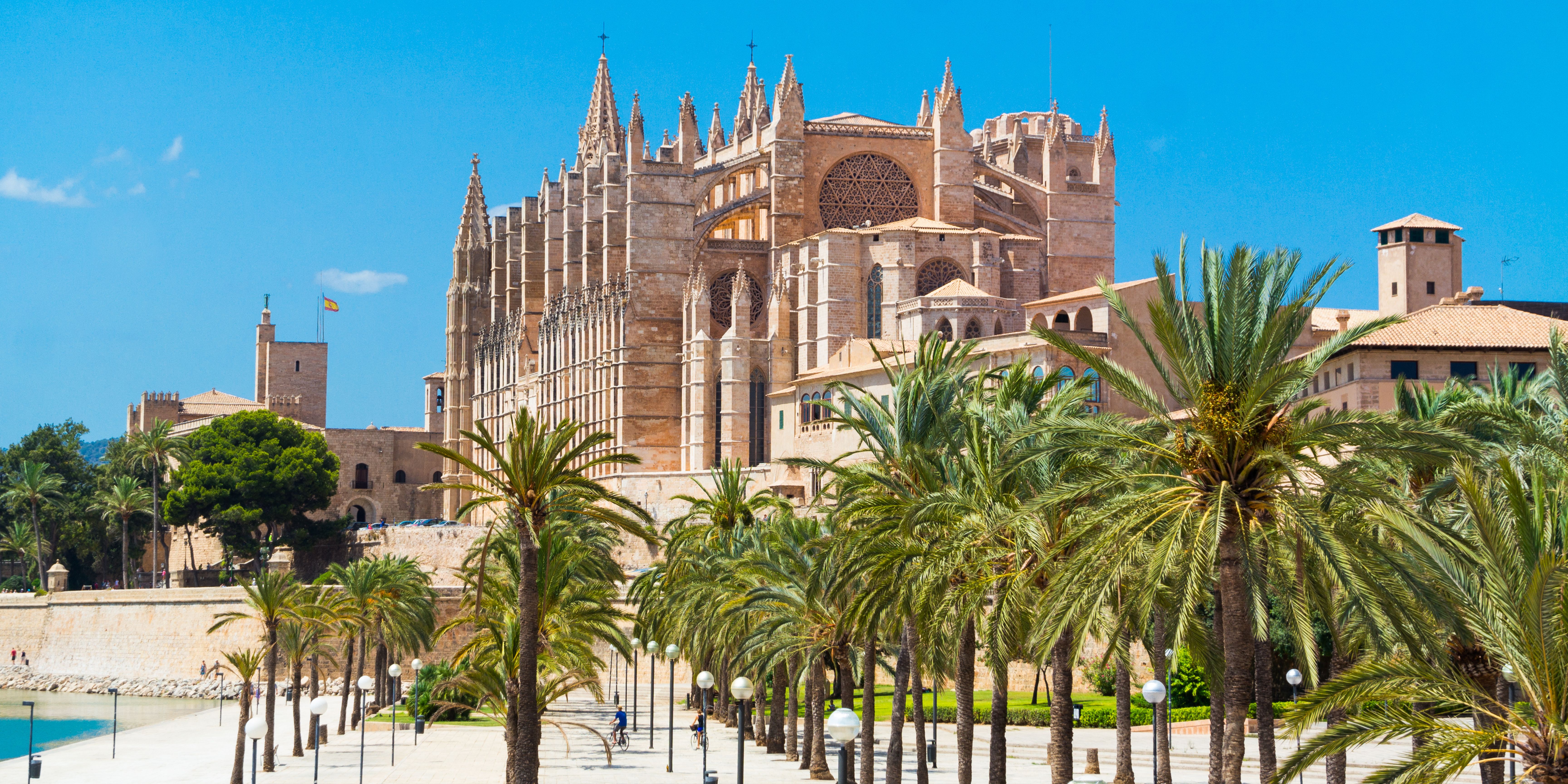 A blue sky with a cathedral on top of a Hill and a avenue with Palm Trees