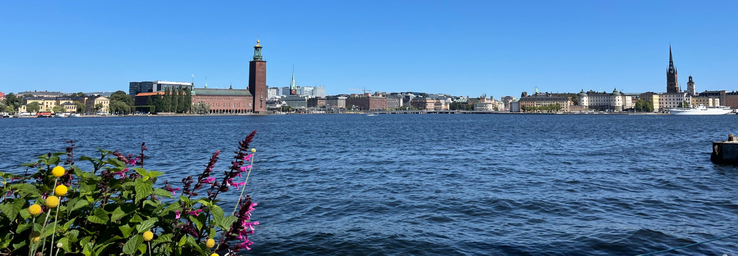 A scenic image of Stockholm city