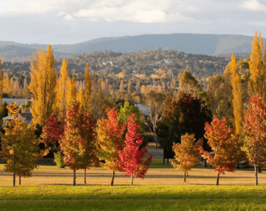 Colorful autumn trees across valley with mountains