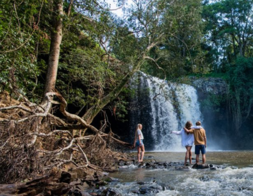Visitors standing in stream beside forest waterfall