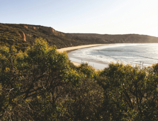 Curved beach bay with cliffs and greenery