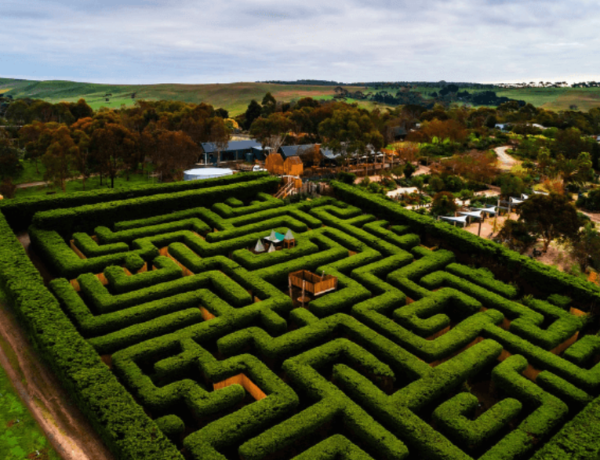 Large hedge maze in countryside landscape