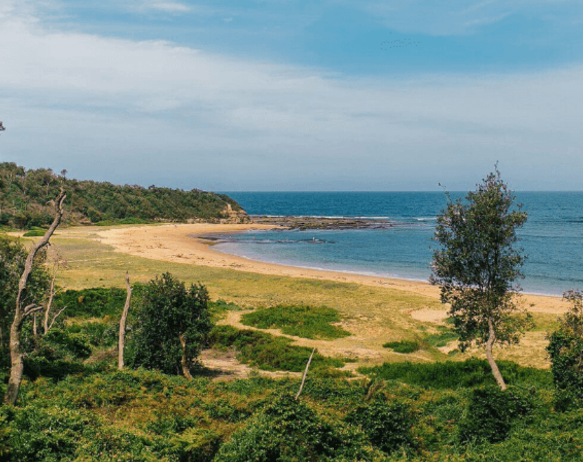 Sandy beach with greenery and calm sea