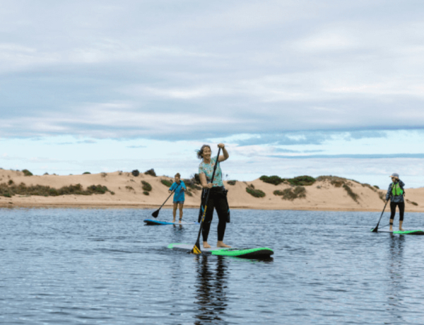 People paddleboarding on calm water by dunes