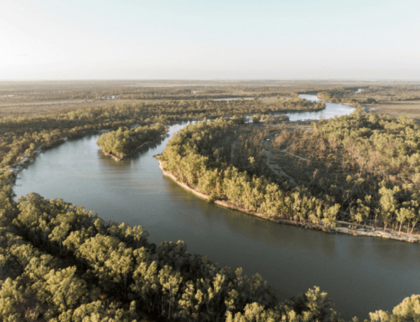 Winding river through forest aerial view