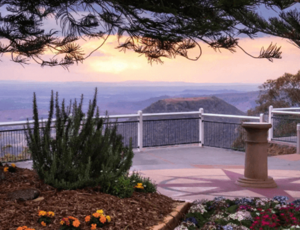 Scenic lookout with flowers and sunset view