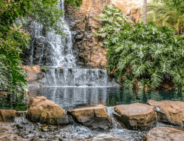 Small waterfall over rocks with lush plants