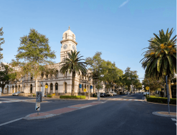 Historic clock tower on tree-lined street