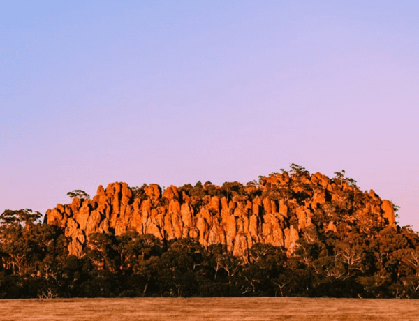 Rocky outcrop glowing at sunset over grassland
