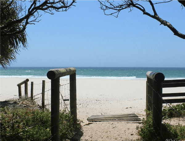 Sandy path to beach framed by trees