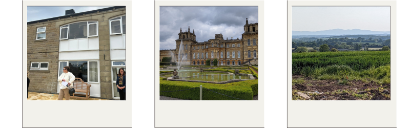 House, palace garden, and rural landscape