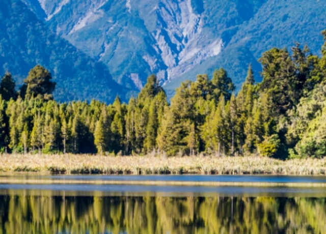 Mountain lake surrounded by trees
