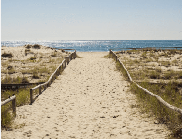 Sandy path with wooden fence leading to the oceanSandy path with wooden fence leading to the ocean