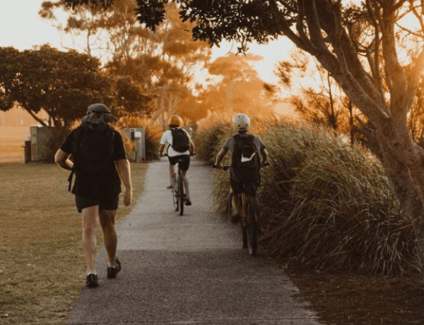 People cycling and walking on a park path at sunsetPeople cycling and walking on a park path at sunset
