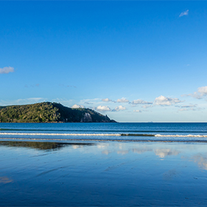 Bay of Plenty Image