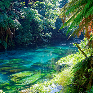 Waikato Region Image