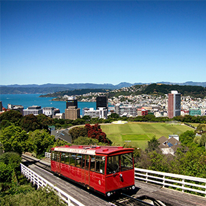 Wellington Region Image