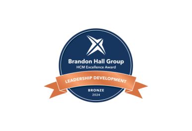 Brandon Hall Award - Bronze