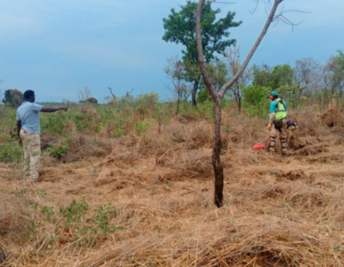 Senya's Ordnance Management Journey
