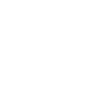 Compliance icon