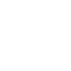 Medal icon