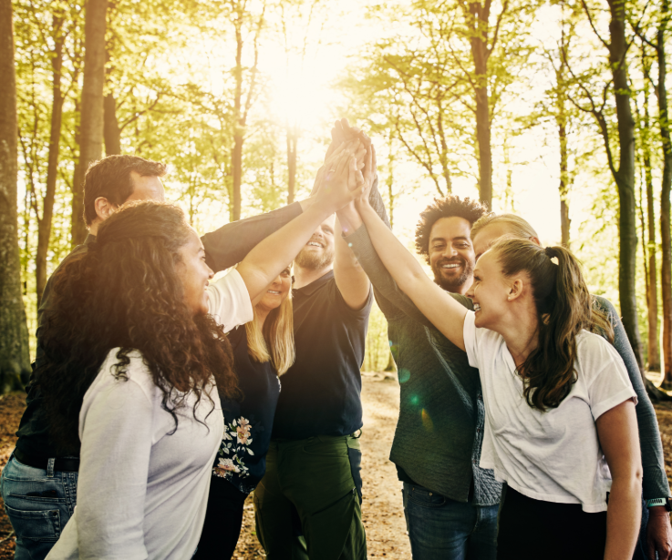 Group of people hi-fiving each other in the woods with the sun shining behind them