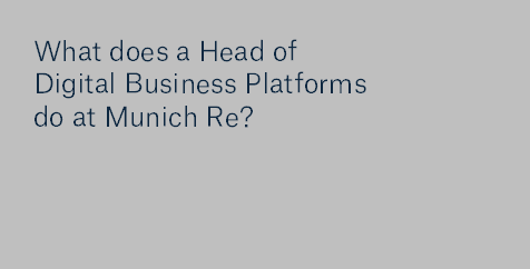 What do you do as a Head of Digital Business Platforms?