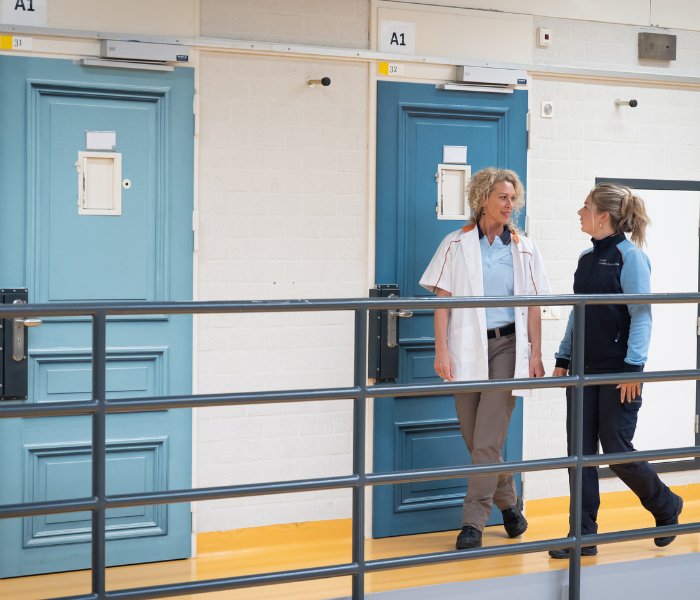 Add image description here