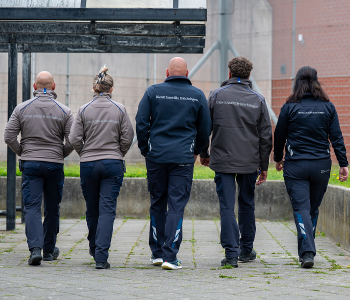 Add image description here