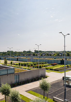 Overzicht van modern gevangenisterrein met groen