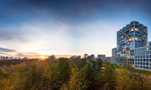 City skyline at sunset with park