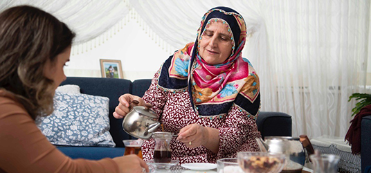 Wet maatschappelijke ondersteuning