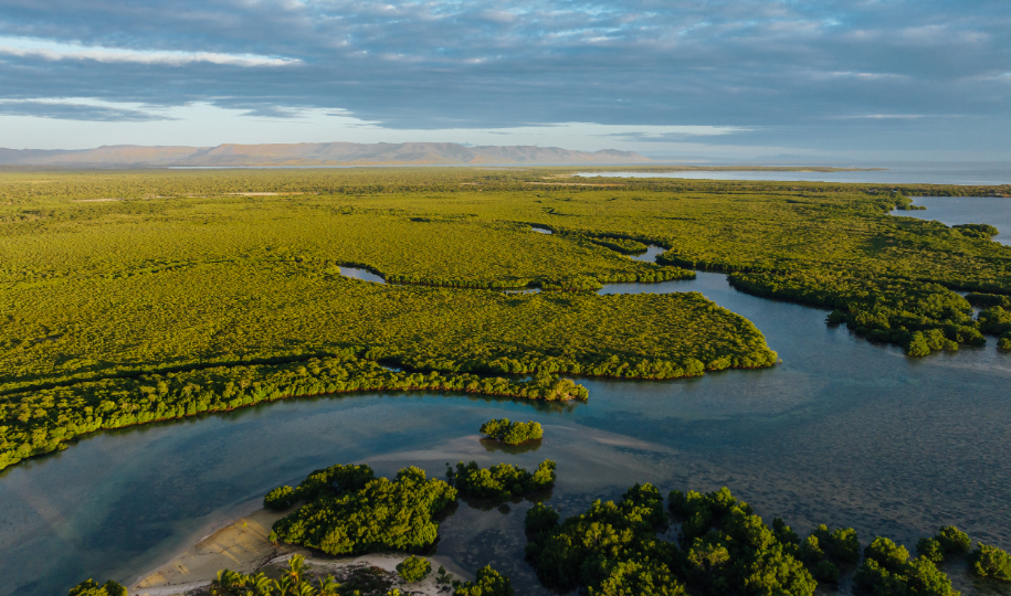 Aerial view of winding river through green wetlands