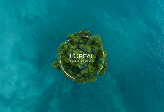 Aerial view of lush island in turquoise sea