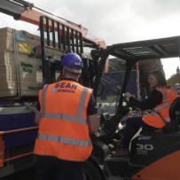 Workers load timber with forklift in busy yard area